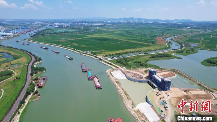 安徽合肥：打造巢湖北岸湿地“生态名片”